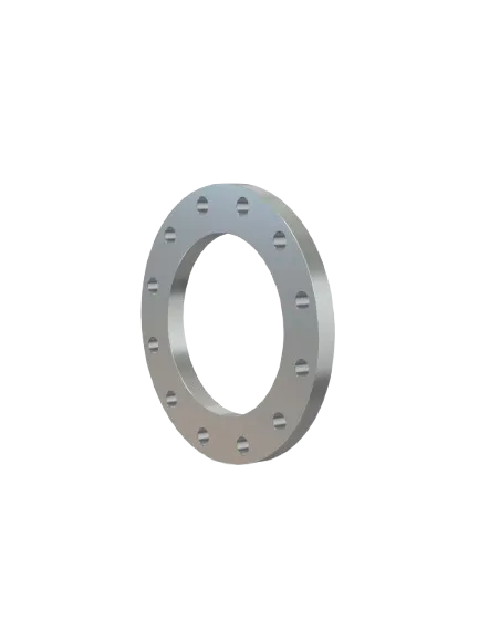 EN1092-1 Flanges
